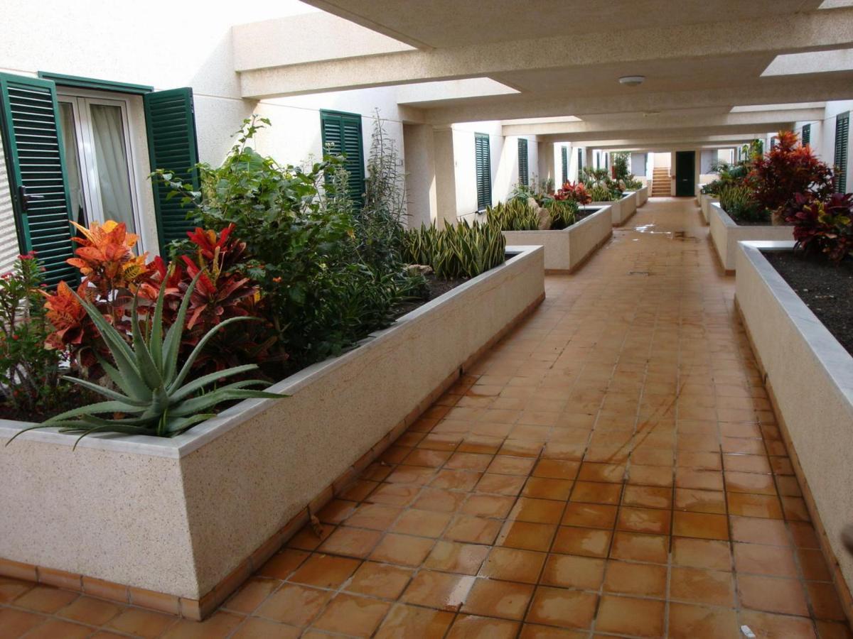 Apartamento Con Jardin Y Piscina En El Balancon Apartamento El Médano Exterior foto